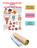 The Nose, Throat & Neck : Reference Educational Wall Chart By Dreamland Publications 9788184511307