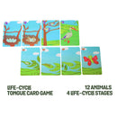 Chalk and Chuckles Stepping Stones, Active Movement Math Game