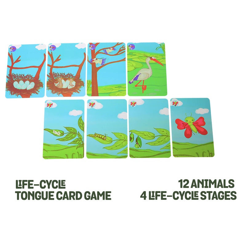 Chalk and Chuckles Stepping Stones, Active Movement Math Game