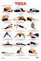 Yoga Chart - 3 : Reference Educational Wall Chart by Dreamland Publications