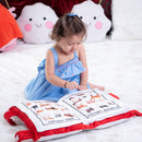 Educational Pillow Book