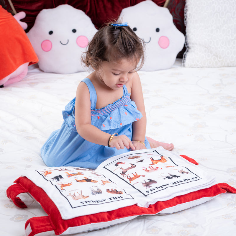 Educational Pillow Book