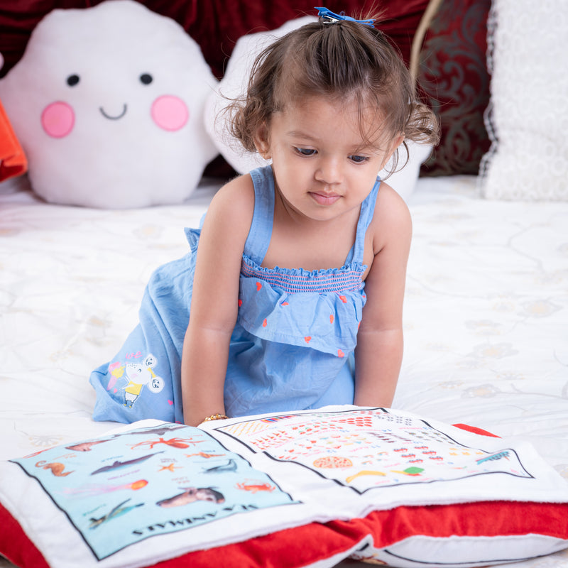 Educational Pillow Book