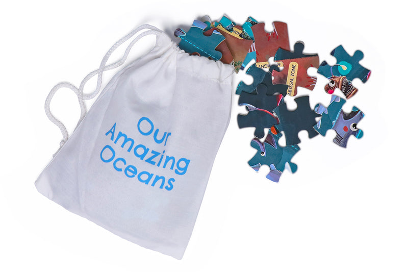 Our Amazing Oceans 4 in 1 Activity Kit