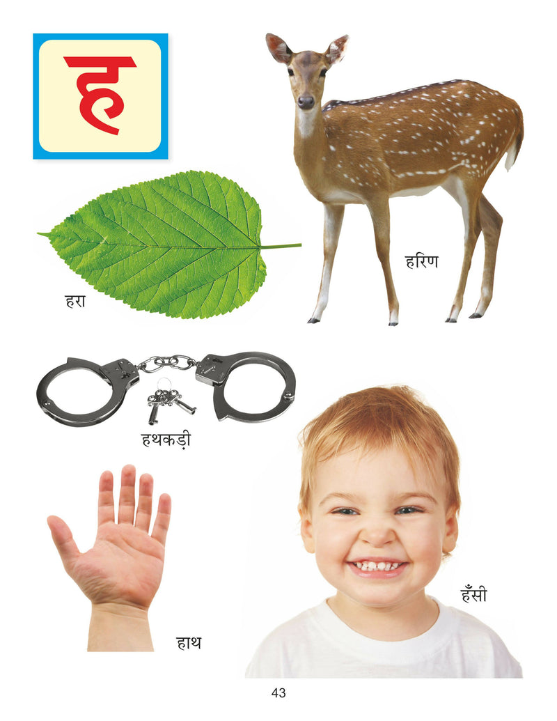 Meri Sunder Ka Kha Ga Pustak (Hindi) : Early Learning Children Book By Dreamland Publications