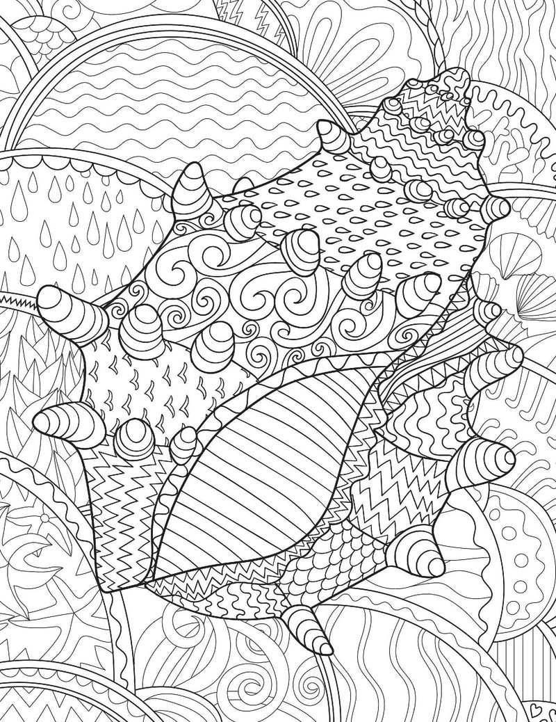 Anti-Stress Coloring Book: Ocean Designs Vol 1 (Paperback