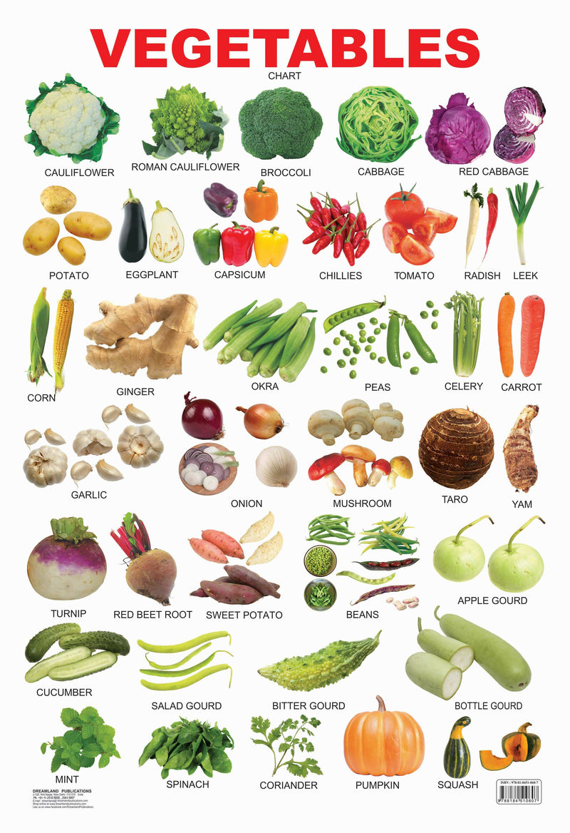 Vegetables : Reference Educational Wall Chart By Dreamland Publications