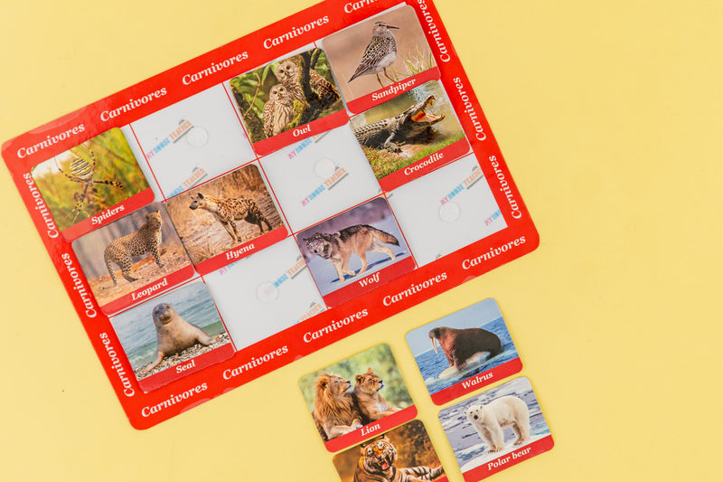 Animal sorting: Herbivores, Carnivores, Omnivores Categories Educational game