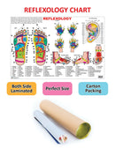 Reflexology : Reference Educational Wall Chart By Dreamland Publications 9789350893500