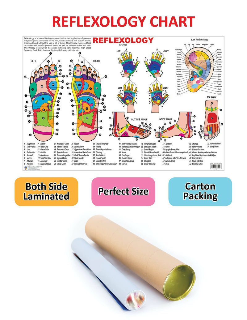 Reflexology : Reference Educational Wall Chart By Dreamland Publications 9789350893500