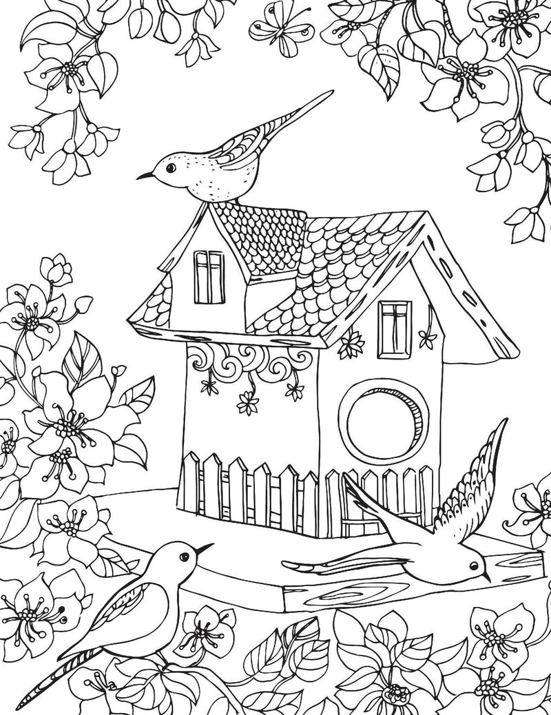 Countryside- Colouring Book for Adults : Colouring Books for Peace and Relaxation Children Book By Dreamland Publications