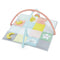 Rainbow Play Gym