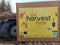 THE HARVEST BOX by THE STORY BAND