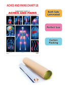 The Pains : Reference Educational Wall Chart By Dreamland Publications 9788184511390